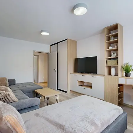 Flexihome Sk - Tolsteho 1 - Nice&renovated Košice