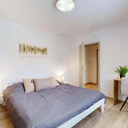 Flexihome Sk - Tolsteho 1 - And Renovated Apartment