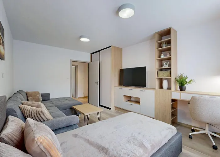 Flexihome Sk - Tolsteho 1 - And Renovated Košice