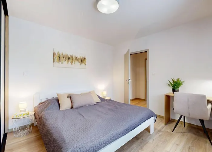 Flexihome Sk - Tolsteho 1 - And Renovated Appartamento